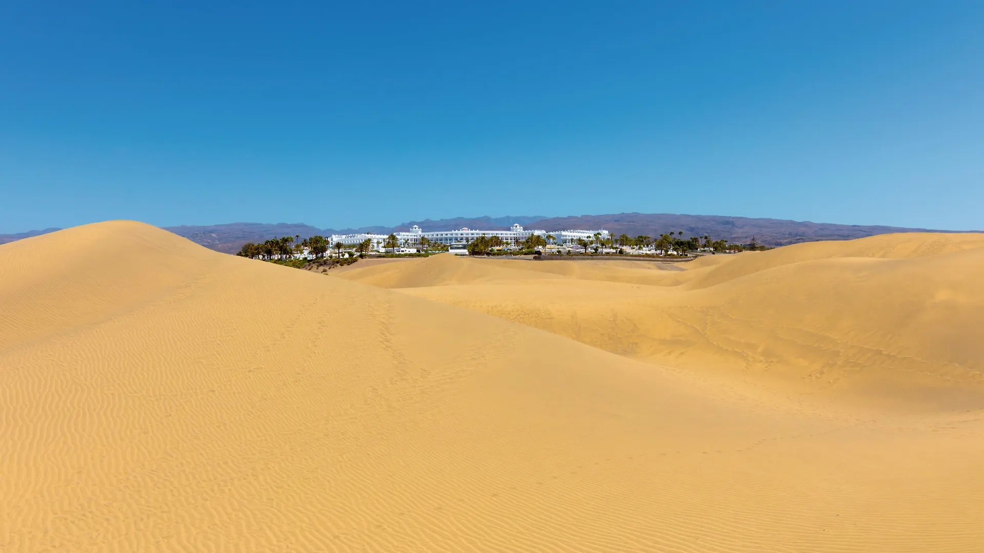 Hotel Riu Palace Maspalomas (Adults Only)