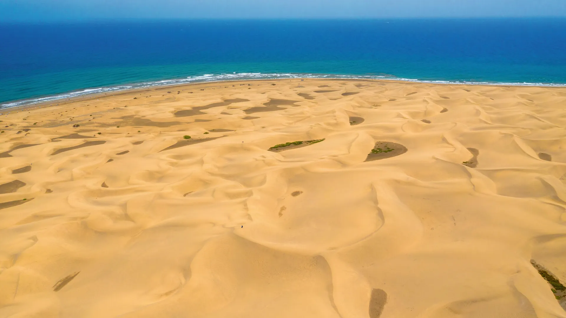Riu Palace Maspalomas (Adults Only) Spanien